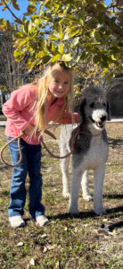 Perfect Poodle Charlie/Artie standing with his new best friend and companion, Saylor