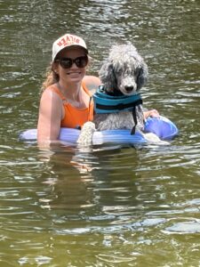 Standard Poodle family companion in Florida