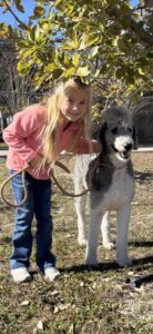 Happy family with well socialized Standard Poodle puppy